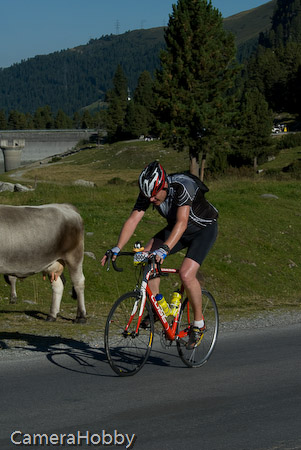 Wieler tour Oostenrijk 2008