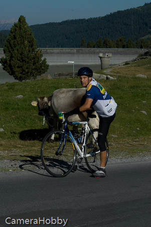 Wieler tour Oostenrijk 2008