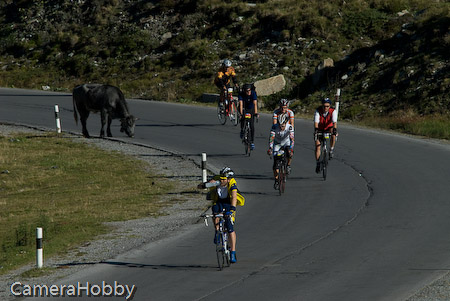 Wieler tour Oostenrijk 2008