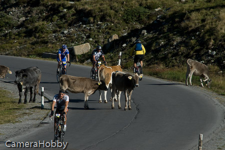 Wieler tour Oostenrijk 2008