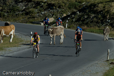 Wieler tour Oostenrijk 2008