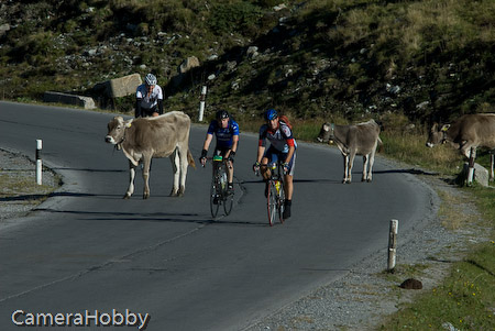 Wieler tour Oostenrijk 2008
