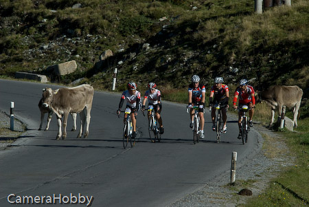 Wieler tour Oostenrijk 2008