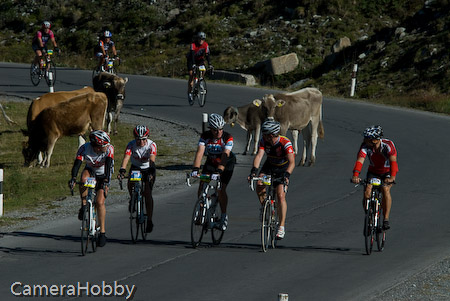 Wieler tour Oostenrijk 2008
