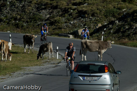 Wieler tour Oostenrijk 2008