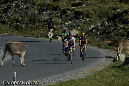 Wieler tour Oostenrijk 2008