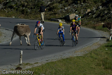 Wieler tour Oostenrijk 2008